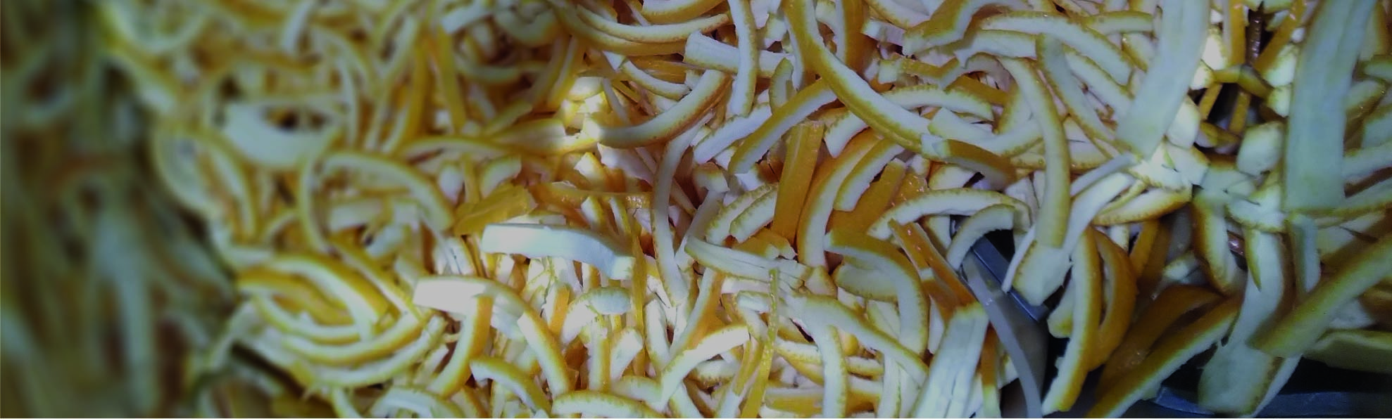 La scorza (quella buona)